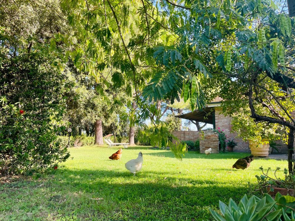 Agriturismo Salcino Villa Grosseto Dış mekan fotoğraf