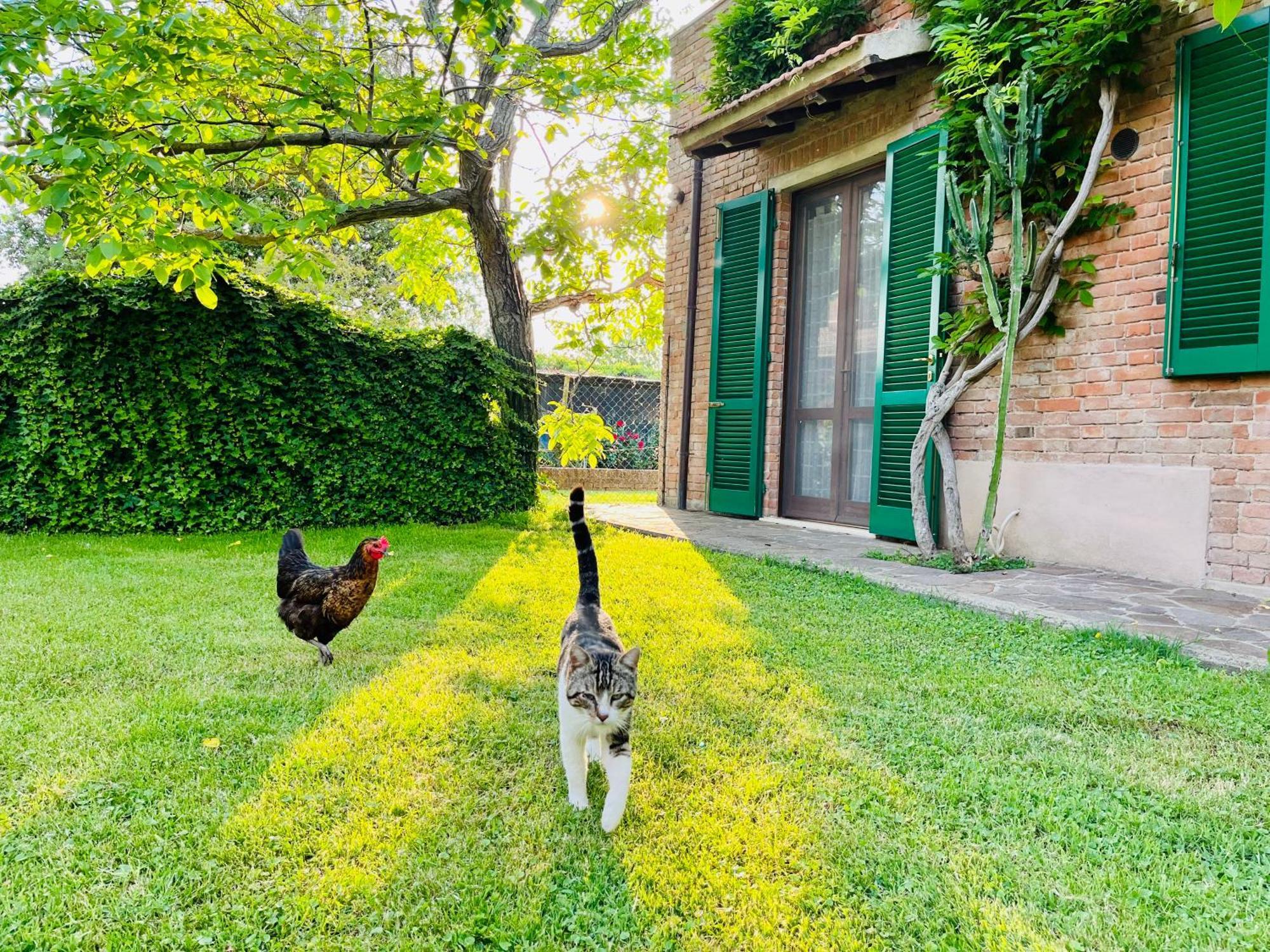 Agriturismo Salcino Villa Grosseto Dış mekan fotoğraf