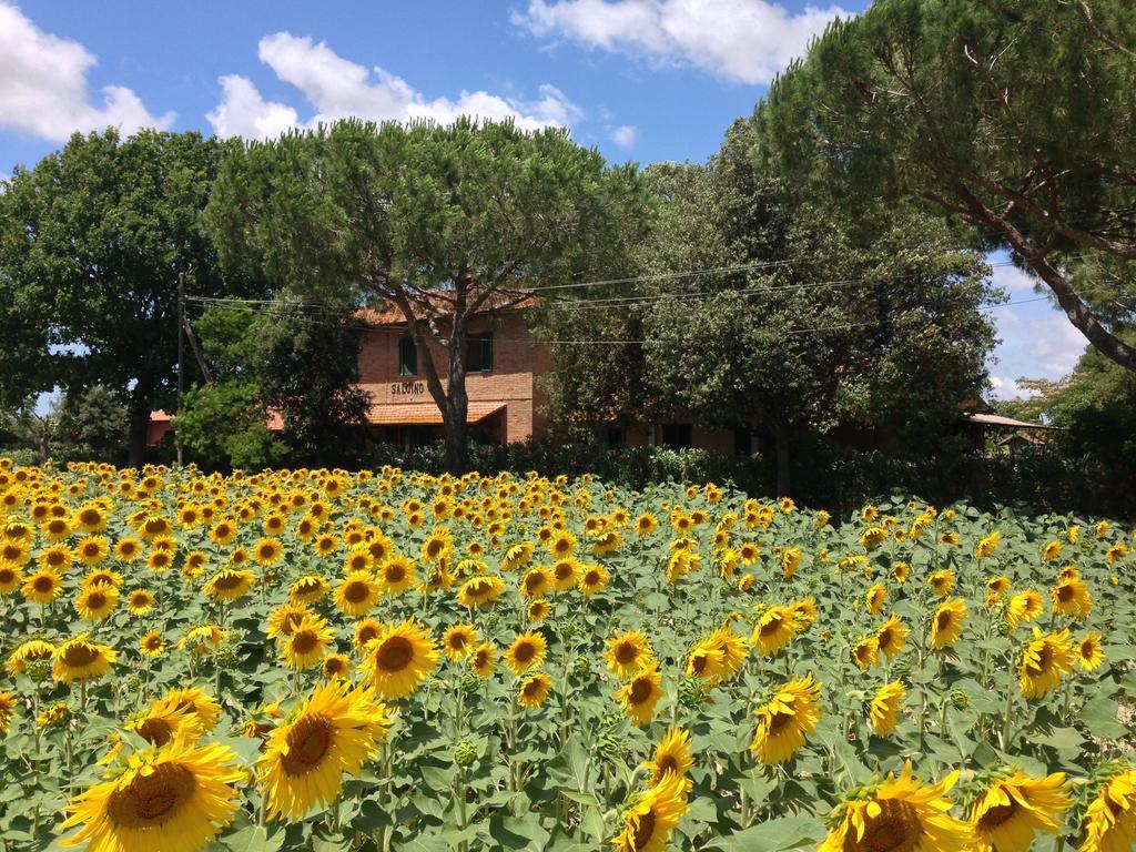 Agriturismo Salcino Villa Grosseto Dış mekan fotoğraf