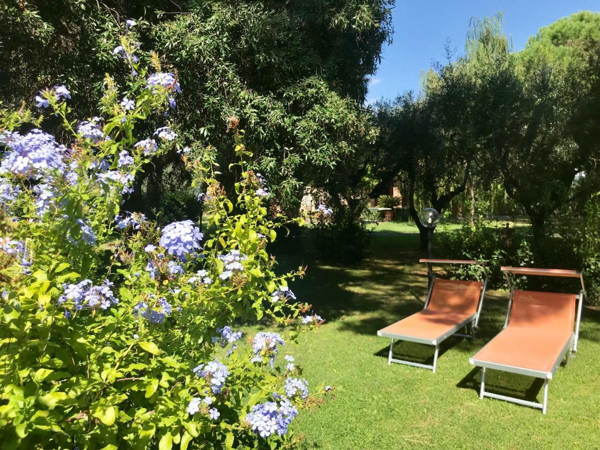 Agriturismo Salcino Villa Grosseto Dış mekan fotoğraf